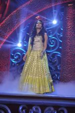 Mallika Sherawat at the grand finale of The Bachelorette in Filmcity, Mumbai on 5th Nov 2013 (86)_527a39944ef4a.JPG