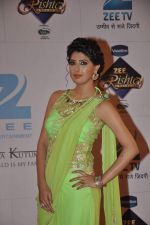 at Zee Rishtey Awards in Andheri Sports Complex, Mumbai on 16th Nov 2013 (61)_528900834e3a7.JPG