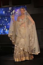 Model walks for Suneet Varma Show at Blenders Pride Fashion Tour Day 2 on 17th Nov 2013 (15)_528b0b36ddba1.JPG