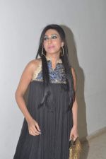 Rituparna Sengupta at film Tere Aaane Se launch in Celebrations Club, Mumbai on 19th Nov 2013 (43)_528c63a45a5c6.JPG