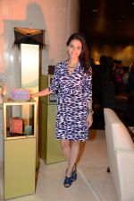 at Rossoyuki A Luxury Accessories Label by Priyanshi Mehta launch hosted by Chhaya Momaya in Palladim Hotel, Mumbai on 21st Nov 2013 (36)_528efaf66f158.JPG