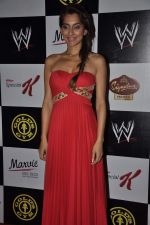 Anusha Dandekar at Gold Gym_s Fit and Fab contest in Mumbai on 22nd Nov 2013 (36)_5290874e3e537.JPG