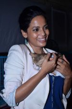 Priyanka Bose at Pet Adoption camp in Khar, Mumbai on 23rd Nov 2013 (18)_5291b011c76fa.JPG
