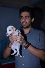 at Pet Adoption camp in Khar, Mumbai on 23rd Nov 2013 (30)_5291b03ebb0cc.JPG