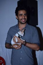 at Pet Adoption camp in Khar, Mumbai on 23rd Nov 2013 (36)_5291b03cc6e85.JPG