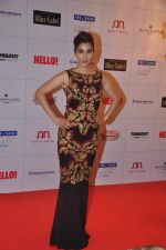 Sophie Chaudhary at Hello hall of  fame awards 2013 in Palladium Hotel, Mumbai on 24th Nov 2013(397)_529338f92482b.JPG