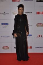 at Hello hall of  fame awards 2013 in Palladium Hotel, Mumbai on 24th Nov 2013 (146)_5293389558f83.JPG