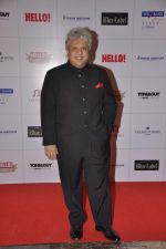 at Hello hall of  fame awards 2013 in Palladium Hotel, Mumbai on 24th Nov 2013 (21)_529338b3d0218.JPG