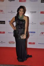 at Hello hall of  fame awards 2013 in Palladium Hotel, Mumbai on 24th Nov 2013 (22)_529338b35043f.JPG