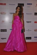 at Hello hall of  fame awards 2013 in Palladium Hotel, Mumbai on 24th Nov 2013 (29)_529338afcd0e7.JPG