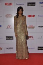at Hello hall of  fame awards 2013 in Palladium Hotel, Mumbai on 24th Nov 2013 (51)_529338ab7215b.JPG