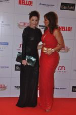 at Hello hall of  fame awards 2013 in Palladium Hotel, Mumbai on 24th Nov 2013(357)_52933876970c7.JPG