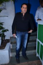 at Finding Fanny Movie Completion Bash in Olive, Mumbai on 27th Nov 2013 (19)_52971588b43fc.JPG