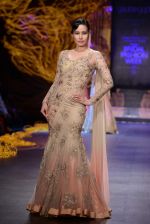 Model walk the ramp for Gaurav Gupta showcase on day 2 of bridal week in Mumbai on 30th Nov 2013 (131)_529afd3b58c55.JPG