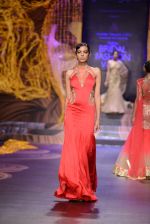 Model walk the ramp for Gaurav Gupta showcase on day 2 of bridal week in Mumbai on 30th Nov 2013 (75)_529afd58eac77.JPG