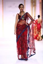 Model walk the ramp for Pallavi Jaikishan showcase on day 2 of bridal week in Mumbai on 30th Nov 2013 (112)_529afd5f0dba4.JPG