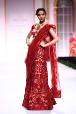 Model walk the ramp for Pallavi Jaikishan showcase on day 2 of bridal week in Mumbai on 30th Nov 2013 (129)_529afd55cf9d2.JPG