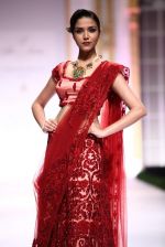 Model walk the ramp for Pallavi Jaikishan showcase on day 2 of bridal week in Mumbai on 30th Nov 2013 (130)_529afd555e4ab.JPG