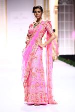 Model walk the ramp for Pallavi Jaikishan showcase on day 2 of bridal week in Mumbai on 30th Nov 2013 (138)_529afd51951f1.JPG