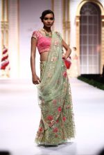 Model walk the ramp for Pallavi Jaikishan showcase on day 2 of bridal week in Mumbai on 30th Nov 2013 (146)_529afd4dc7302.JPG