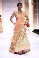 Model walk the ramp for Pallavi Jaikishan showcase on day 2 of bridal week in Mumbai on 30th Nov 2013 (162)_529afd4423dcb.JPG