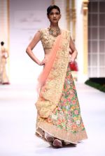 Model walk the ramp for Pallavi Jaikishan showcase on day 2 of bridal week in Mumbai on 30th Nov 2013 (163)_529afd43a5afd.JPG