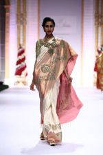 Model walk the ramp for Pallavi Jaikishan showcase on day 2 of bridal week in Mumbai on 30th Nov 2013 (79)_529afd6fd9074.JPG