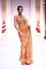 Model walk the ramp for Pallavi Jaikishan showcase on day 2 of bridal week in Mumbai on 30th Nov 2013 (99)_529afd6569544.JPG