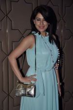 Amrita Raichand at Grey Goose in association with Noblesse fashion bash in Four Seasons, Mumbai on 10th Dec 2013 (88)_52a80f6192404.JPG