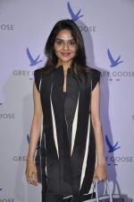Madhoo Shah at Grey Goose in association with Noblesse fashion bash in Four Seasons, Mumbai on 10th Dec 2013 (50)_52a81036e1299.JPG