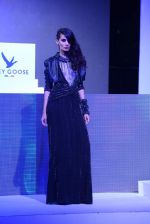 at Grey Goose in association with Noblesse fashion bash in Four Seasons, Mumbai on 10th Dec 2013 (280)_52a80fa4ae45d.JPG