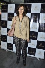at Shaina NC new collection for Gehna in Bandra, Mumbai on 11th Dec 2013 (4)_52a96b9937930.JPG