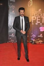 Anil Kapoor at Colors Golden Petal Awards 2013 in BKC, Mumbai on 14th Dec 2013 (200)_52ad7a409c9ff.JPG