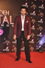 Karan Johar at Colors Golden Petal Awards 2013 in BKC, Mumbai on 14th Dec 2013 (244)_52ad7c08cb82c.JPG