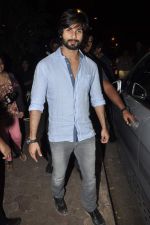 Shahid Kapoor snapped at Olive on 17th Dec 2013 (33)_52b1425df32cd.JPG