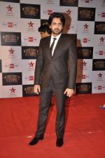 Arjan Bajwa at Big Star Awards red carpet in Andheri, Mumbai on 18th Dec 2013 (183)_52b2d0864568e.JPG