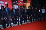 at CCL new season red carpet in Grand Hyatt, Mumbai on 20th Dec 2013 (46)_52b5452551b43.JPG