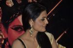 Zeena Bhatia at the Promotion of film Miss Lovely in Aurus, Mumbai on 23rd Dec 2013 (14)_52b972967151d.JPG