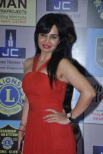 at Lions Awards in Mumbai on 7th Jan 2014 (18)_52ce355fe9840.JPG
