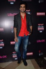 at Screen Awards Nomination Party in J W Marriott, Mumbai on 7th Jan 2014 (111)_52ce32cded6cc.JPG