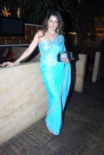 Poonam Jhawer at Strings of Passion film  music launch in Sheesha Sky Lounge on 13th Jan 2014 (34)_52d4a89066ff4.JPG