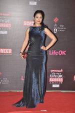 Anjana Sukhani at 20th Annual Life OK Screen Awards in Mumbai on 14th Jan 2014(550)_52d6832c99488.JPG