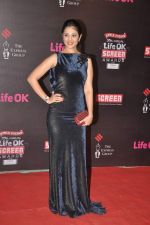 Anjana Sukhani at 20th Annual Life OK Screen Awards in Mumbai on 14th Jan 2014(700)_52d6832dc650a.JPG