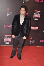 Bhushan Kumar at 20th Annual Life OK Screen Awards in Mumbai on 14th Jan 2014(732)_52d683d9606f2.JPG