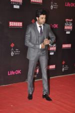 Manish Paul at 20th Annual Life OK Screen Awards in Mumbai on 14th Jan 2014(650)_52d68780760e5.JPG