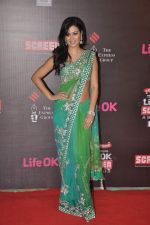 Maryam Zakaria at 20th Annual Life OK Screen Awards in Mumbai on 14th Jan 2014(516)_52d687c16f32c.JPG