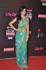 Maryam Zakaria at 20th Annual Life OK Screen Awards in Mumbai on 14th Jan 2014(517)_52d687c1cb0f2.JPG