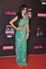 Maryam Zakaria at 20th Annual Life OK Screen Awards in Mumbai on 14th Jan 2014(519)_52d687c282c7d.JPG