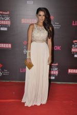 Neha Dhupia at 20th Annual Life OK Screen Awards in Mumbai on 14th Jan 2014(403)_52d6887ba9c1d.JPG