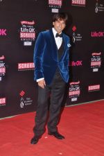Ranveer Singh at 20th Annual Life OK Screen Awards in Mumbai on 14th Jan 2014 (10)_52d68488946e3.JPG